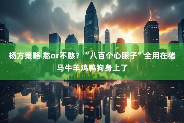 杨方策略 憨or不憨?“八百个心眼子”全用在猪马牛羊鸡鸭狗身上了