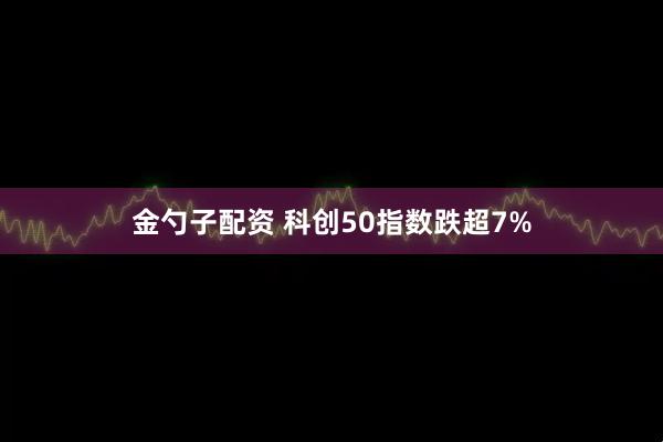 金勺子配资 科创50指数跌超7%